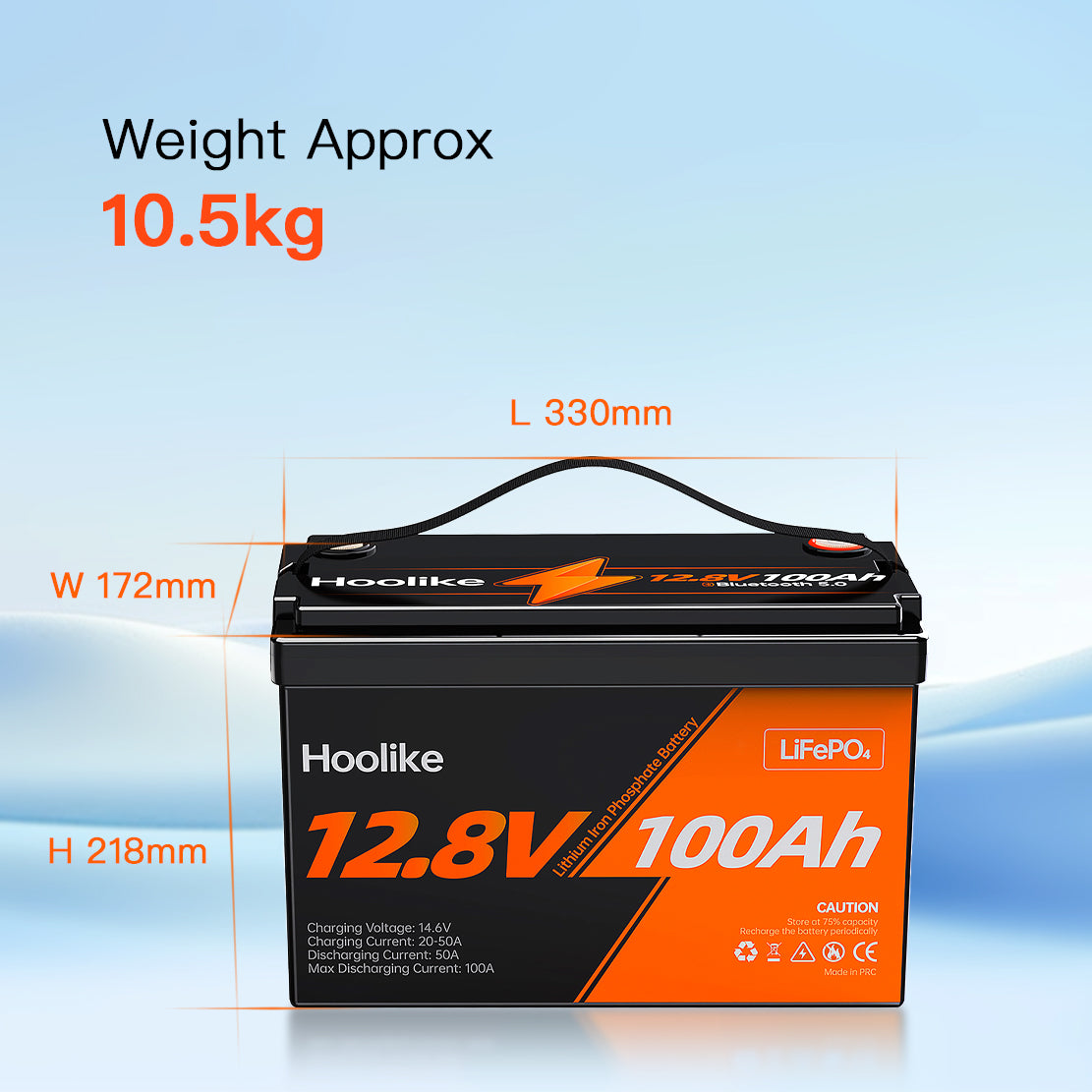 Batterie HOOLIKE 12.8V 100Ah au phosphate de fer lithium (LiFePO4)