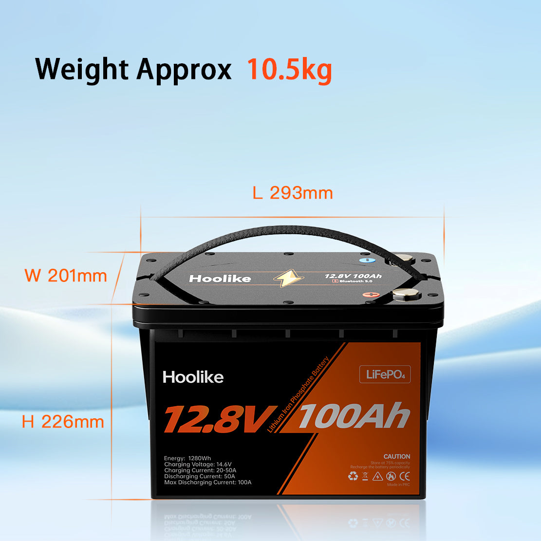 Batterie HOOLIKE 12.8V 100Ah au phosphate de fer lithium (LiFePO4)