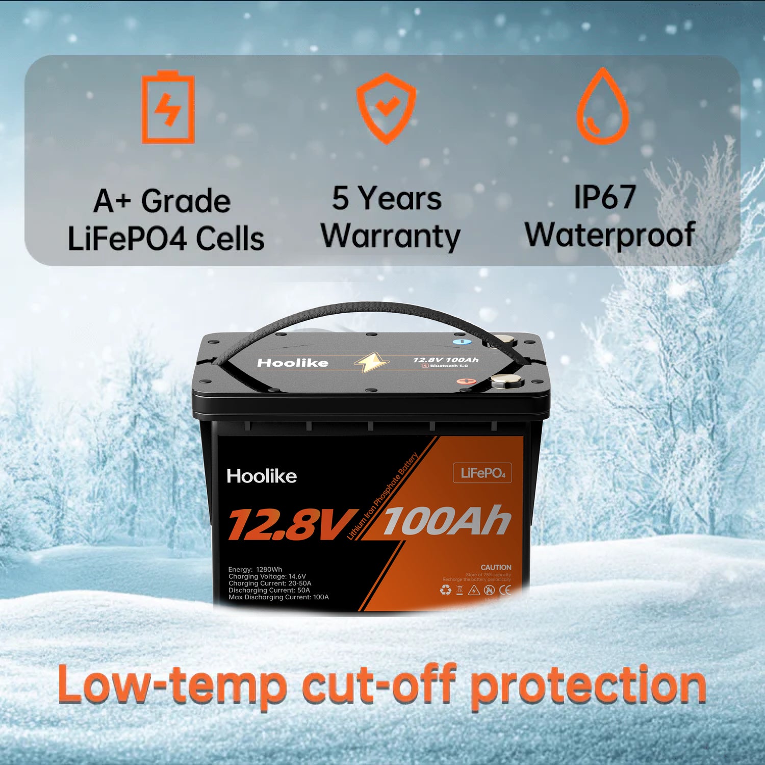 Batterie HOOLIKE 12.8V 100Ah au phosphate de fer lithium (LiFePO4)