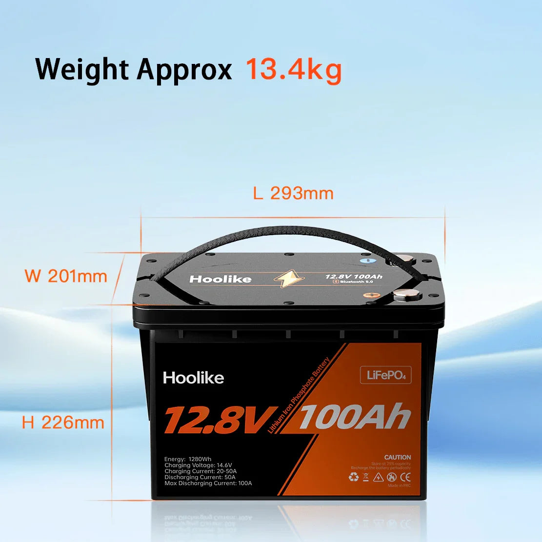 HOOLIKE 12.8V 100Ah Lithium Iron Phosphate (LiFePO4) Battery
