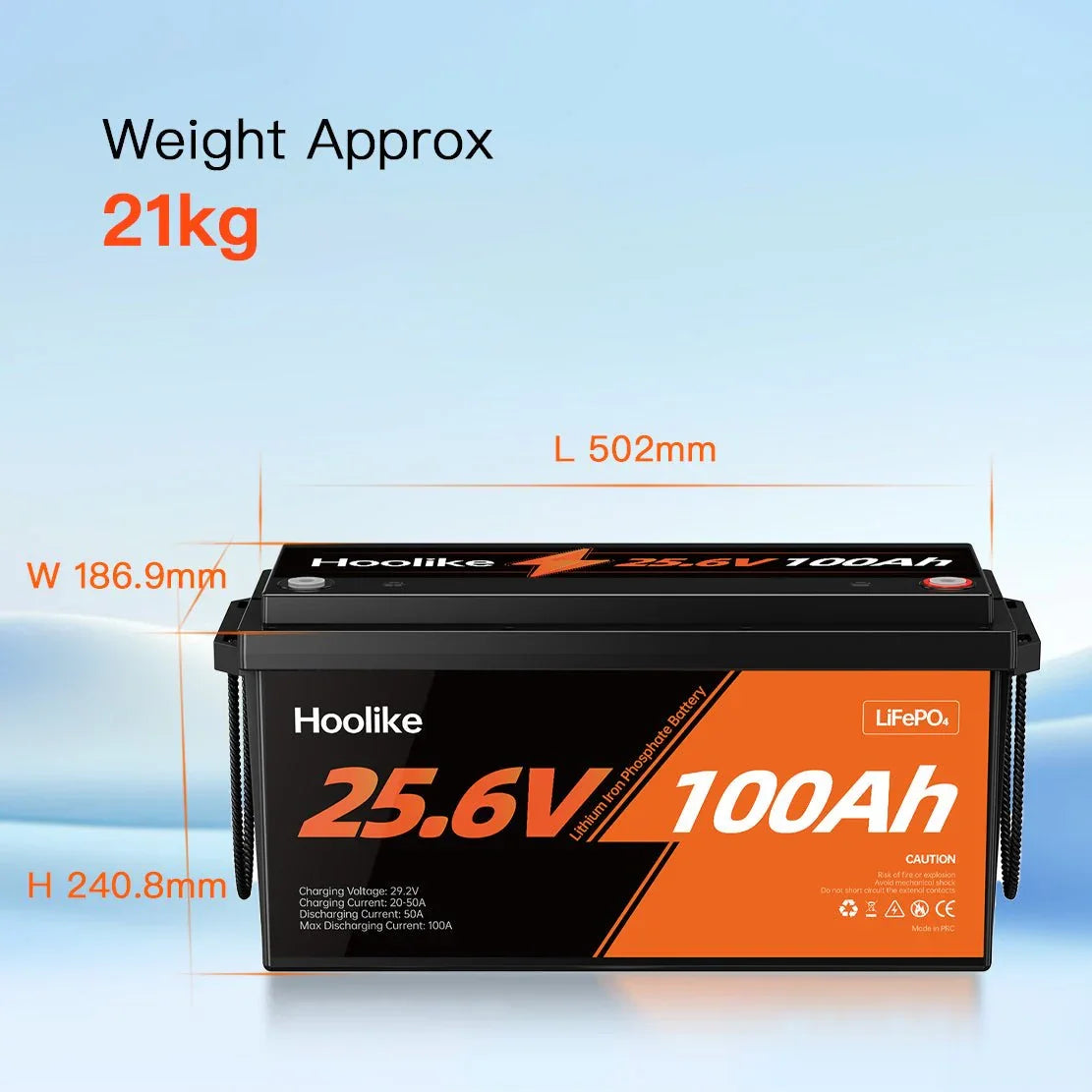 HOOLIKE 25.6V 100Ah Lithium Iron Phosphate (LiFePO4) Battery