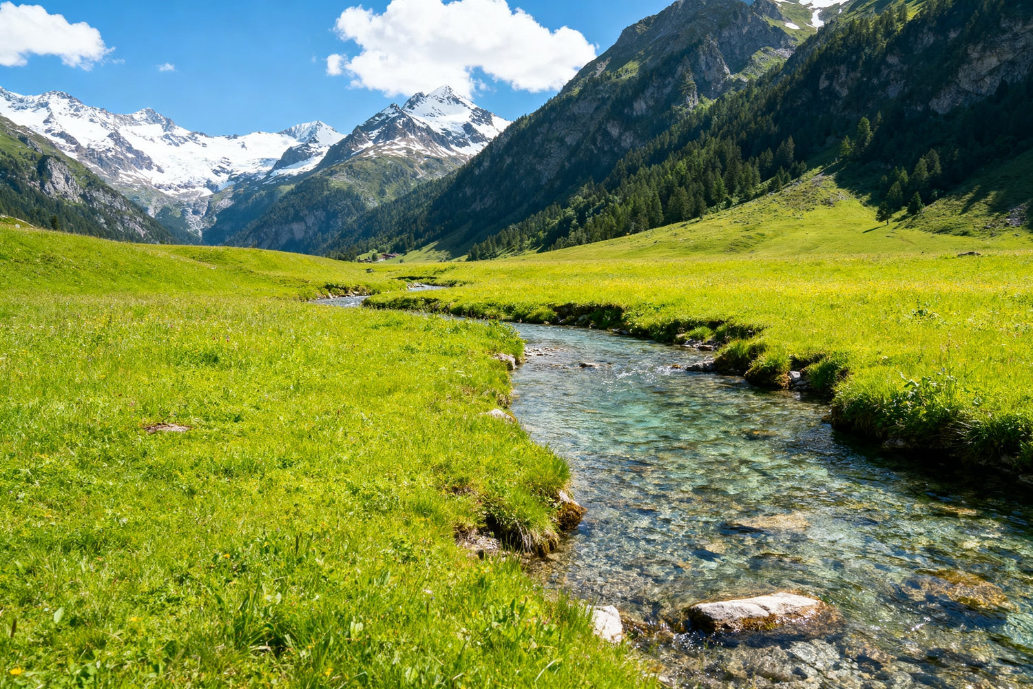 LiFePO₄ vs Solid State Battery: What You Should Choose in 2025