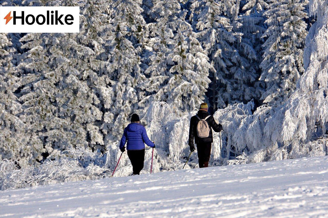 Two people snowshoeing through a snowy forest with frost-covered trees, enjoying winter outdoors.