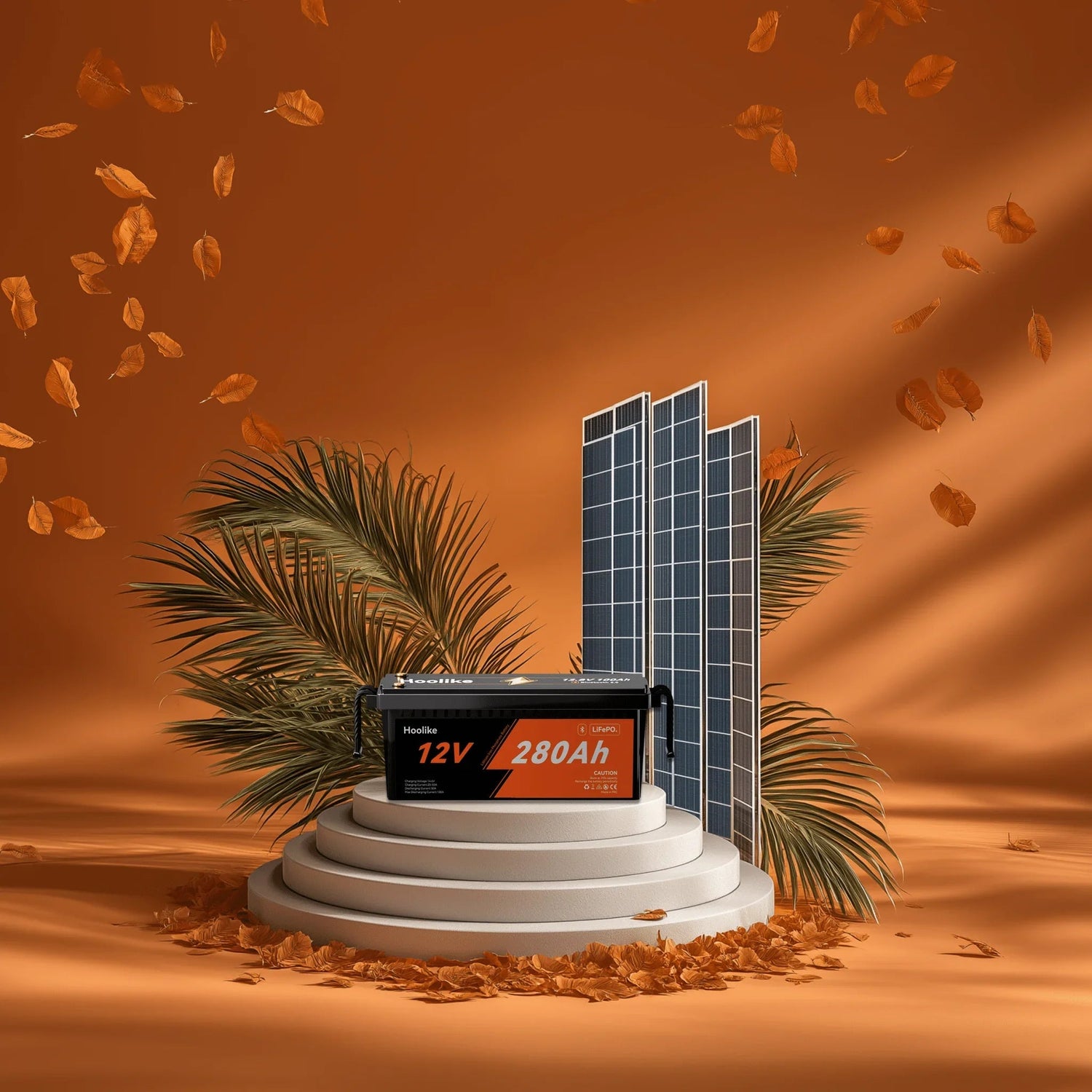 Smart Charging Tips for LiFePO₄ Batteries – A Short Guide with FAQs - Hoolike